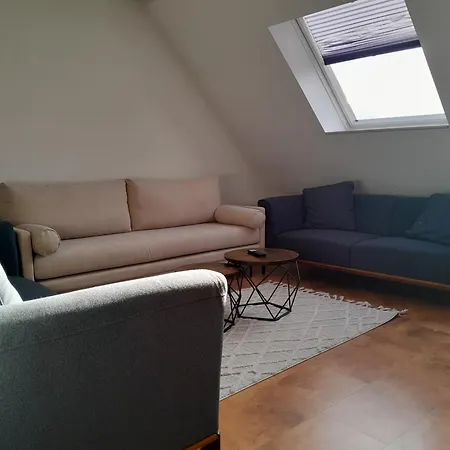 Wohlfuehlapartment - 3 Schlafzimmer - Dachterrasse - Kostenlos Parken Eisenach